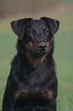 BEAUCERON 975